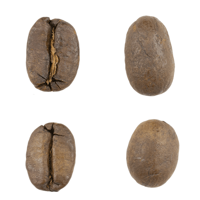 Mocha Java Blend – Old City Coffee