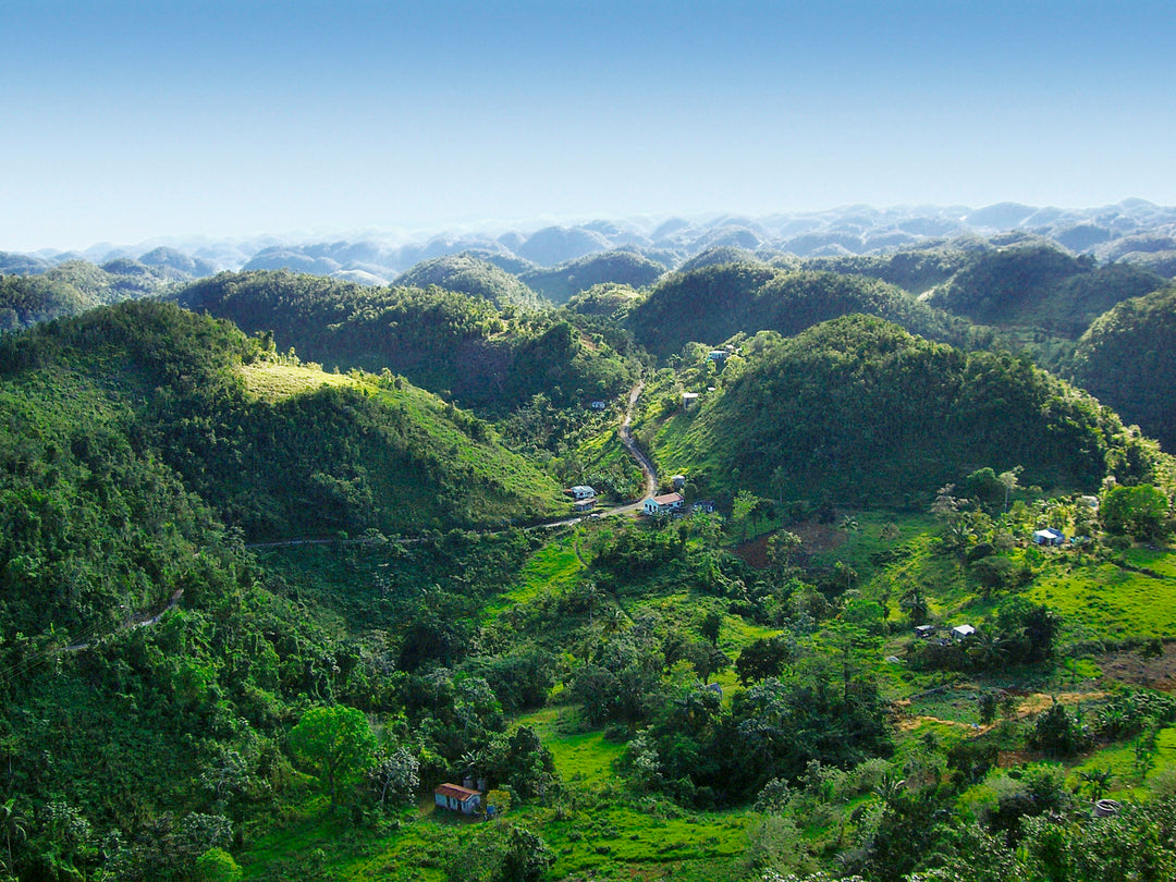 Jamaica Blue Mountain