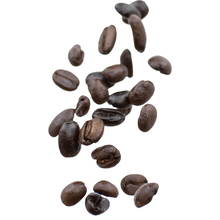 Dark roasted coffee beans scattered on a white background