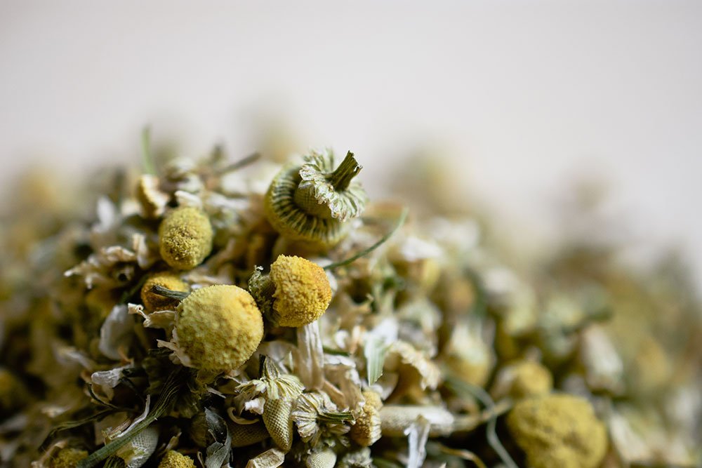 Macro view of dried chamomile buds