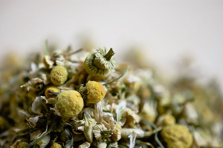 Macro view of dried chamomile buds