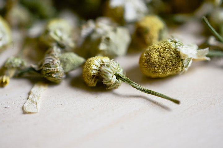 Dried chamomile buds with stems on a white surface