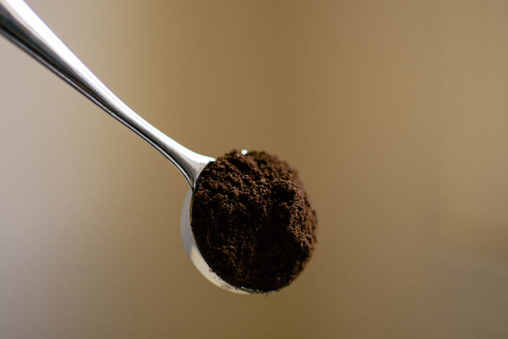 Coffee scoop holding freshly ground coffee
