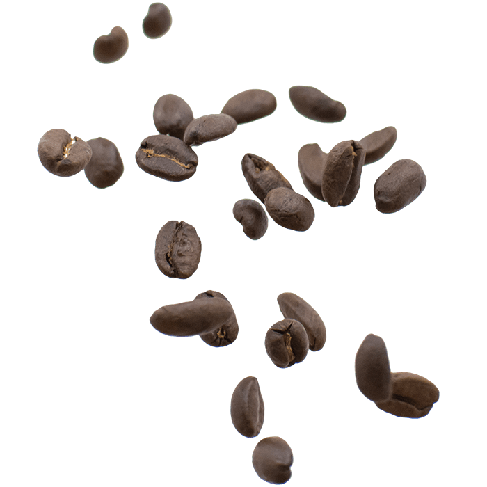 Dark roasted Colombian coffee beans scattered on a white background