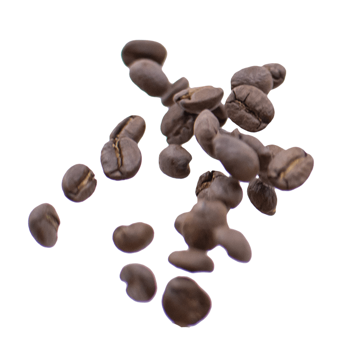 Roasted coffee beans scattered on a white background