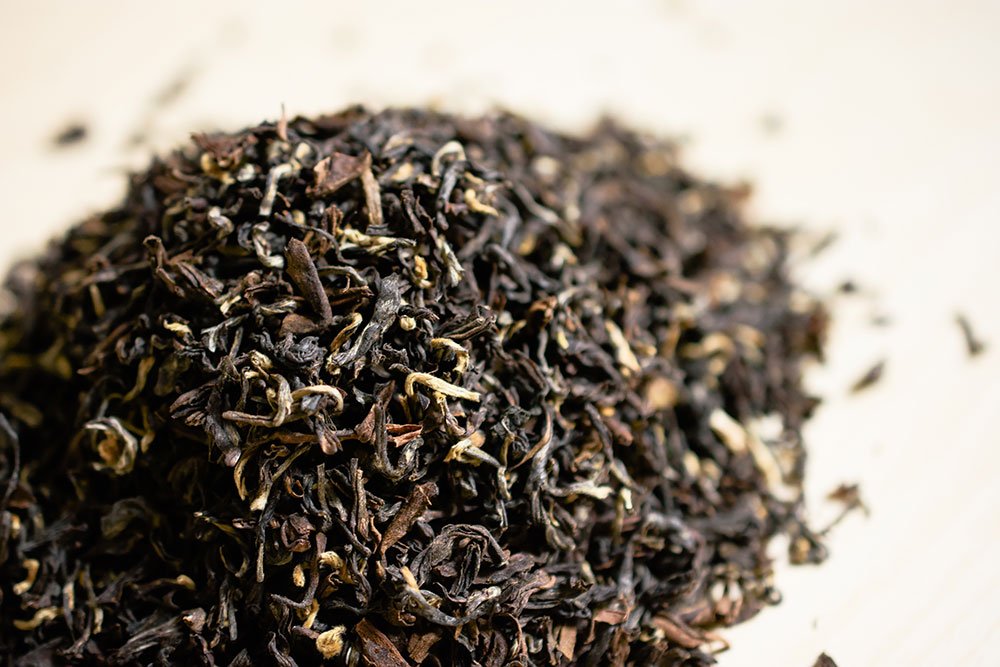 Loose Darjeeling tea leaves with golden tips in close-up