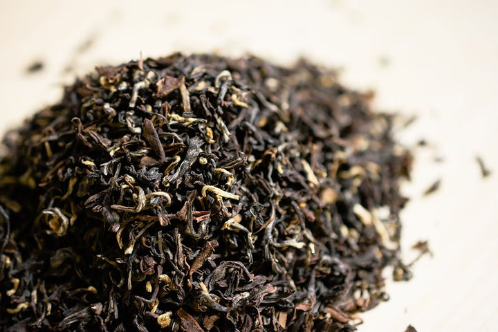 Loose Darjeeling tea leaves with golden tips in close-up