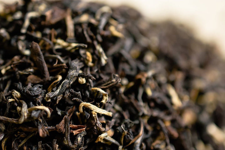 Detailed macro of Darjeeling tea leaves showing lighter tips
