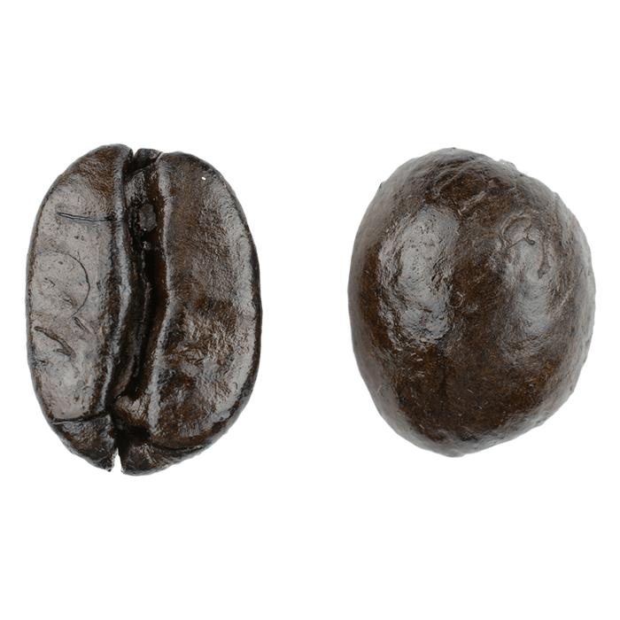 Magnified view of a dark roasted coffee bean shown from the front and back