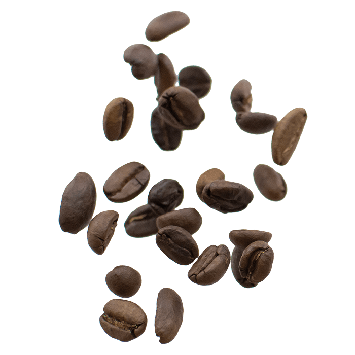 Medium roasted Ethiopia coffee beans scattered on a white background