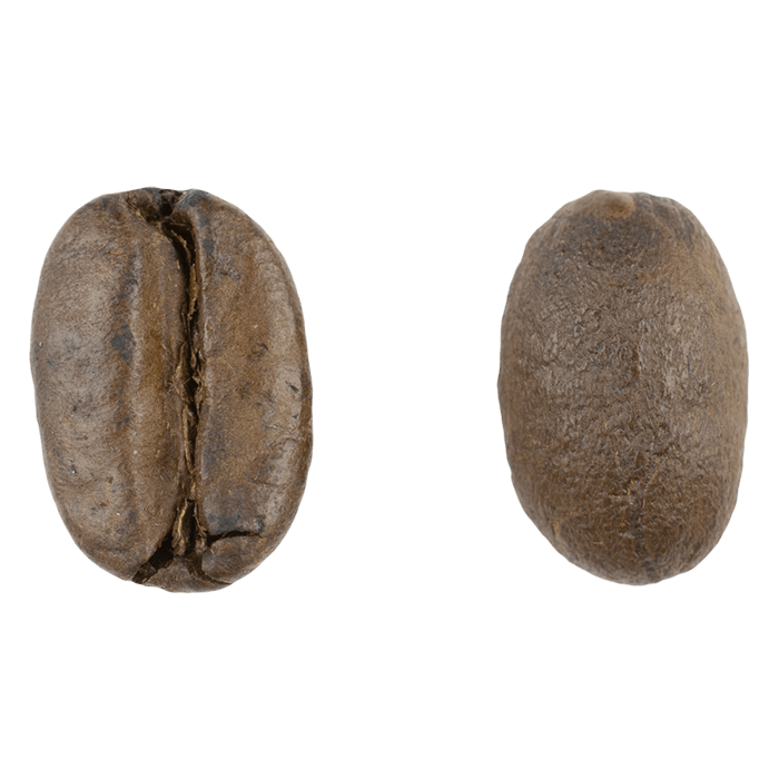 Ethiopia Sidamo Medium Roast - Old City Coffee