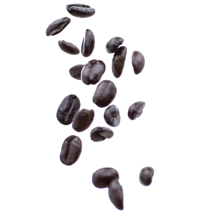 Dark oily French roast coffee beans scattered on a white background
