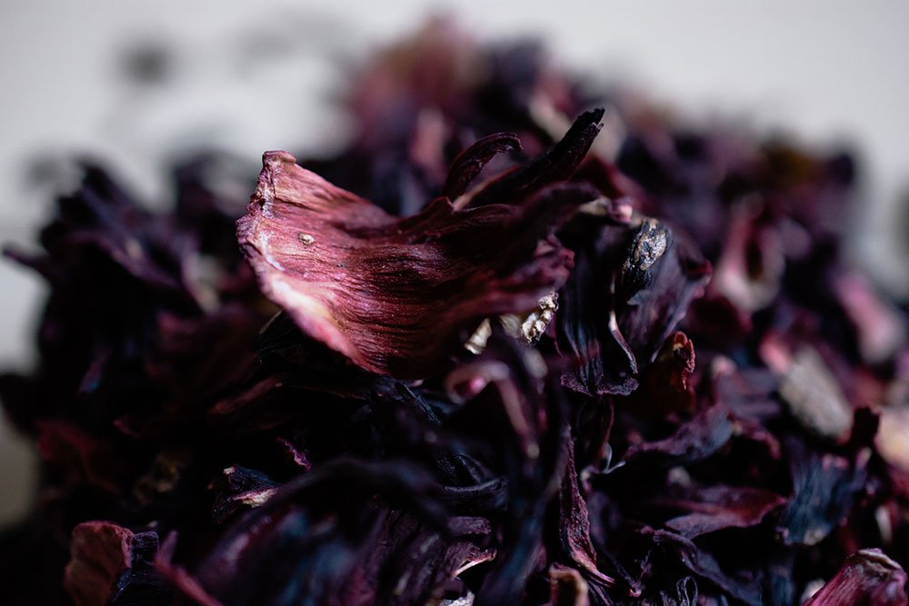 Detailed close-up of dried hibiscus petals with a pink flower center