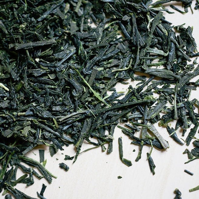 Sencha Green – Old City Coffee