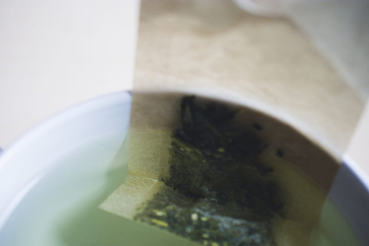 Paper filter filled with green tea leaves steeping in a white mug