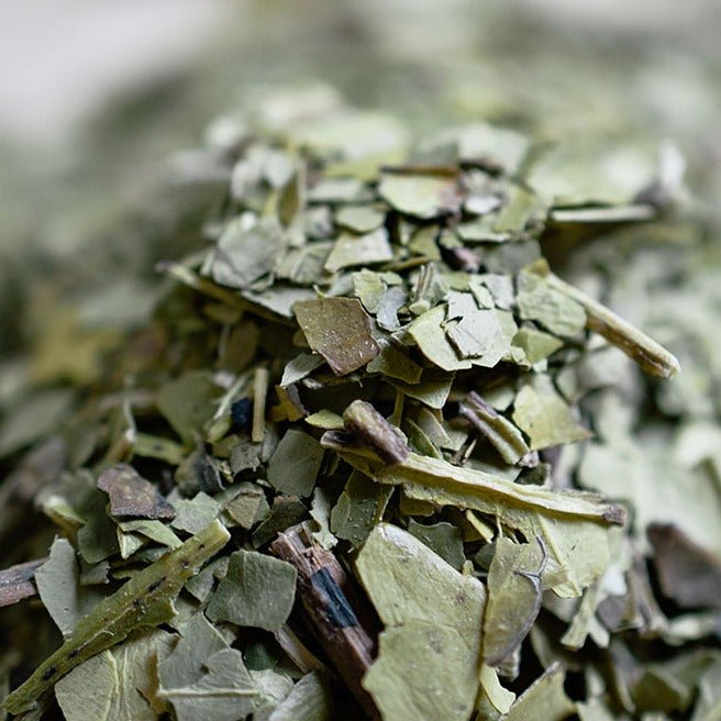 Yerba Mate - Old City Coffee