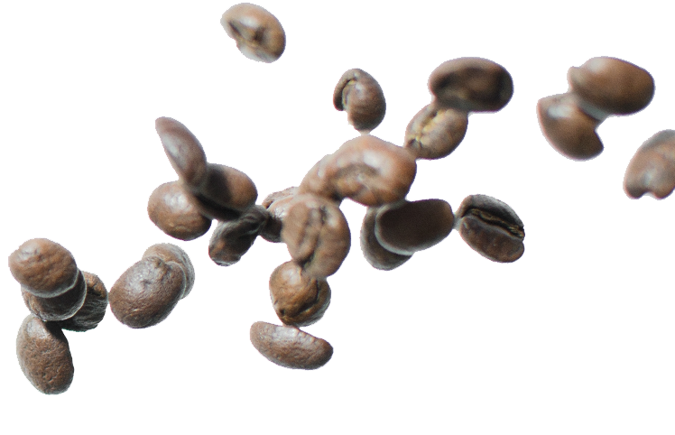 Hp-background-beansbeans